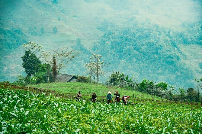 True North Ha Giang Loop Motorbike Tour 4 Days of Adventures - Meet the Operation: Flipside Adventures and the Way the Trip Runs