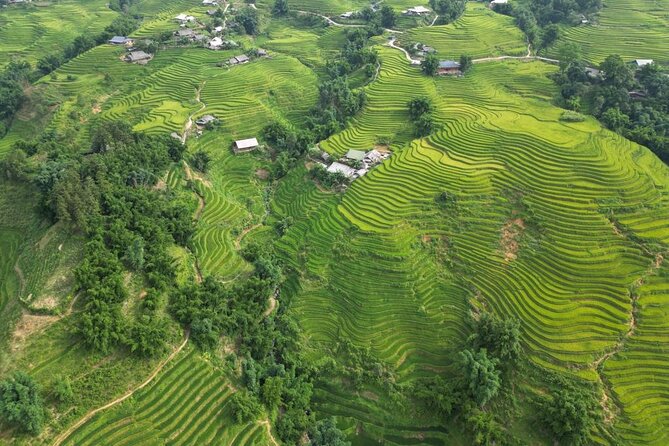 Viet Nam Package Tours - Adventure Indochina Travel - Day 5 to Da Nang: The One Step You Must Budget