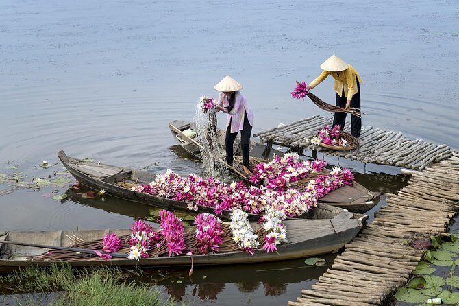 Vietnam At Glance In 7 Days - From Hanoi to Ho Chi Minh City - Day 4: Halong Bay cruise day with scenic travel through rice country