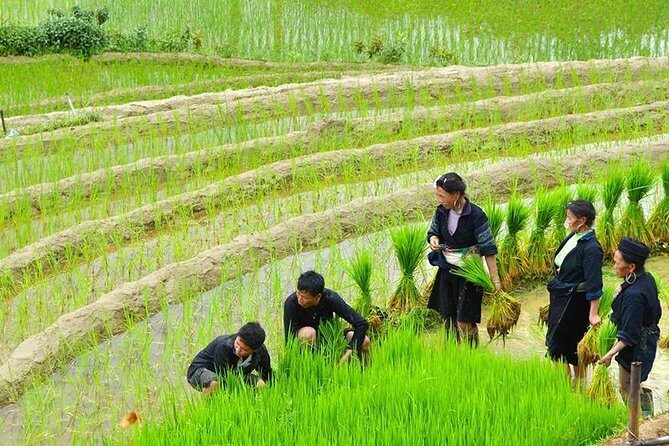 Vietnam Package Tours - Hanoi Green Travel - Timing tips: how to pack and pace for this route