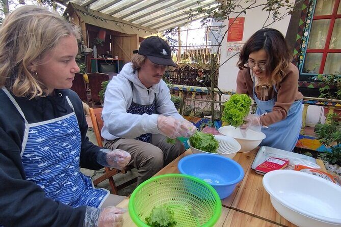Vietnamese Spring Rolls Cooking Class - Where You Meet and What the Start Feels Like