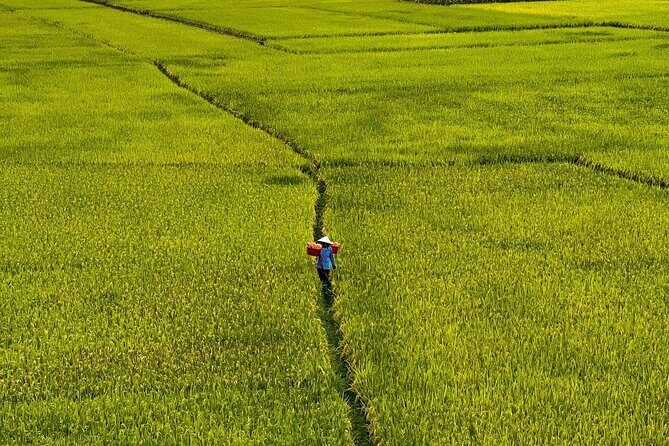 Vietnam’s largest natural freshwater lake - Ba Be Lake Adventure - Choosing your option: one-way or round-trip transfers