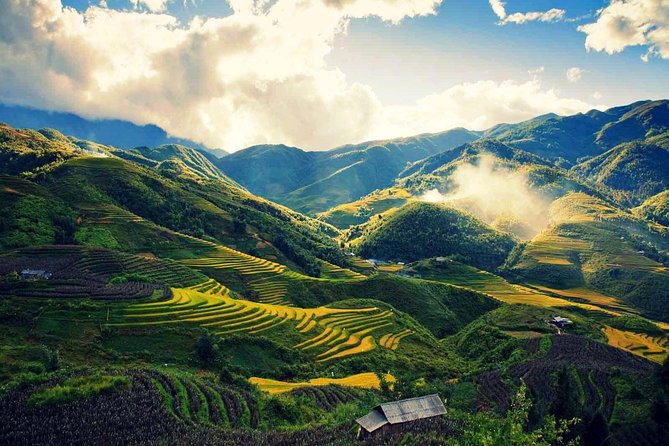 VIP LUXURY Sapa 2D1N -TRANSFER BY LUX LIMOUSINE CAR (Stay at 5* hotel) - Day 2 rice terraces trek: Y Linh Ho, Muong Hoa streams, Lao Chai, and Ta Van