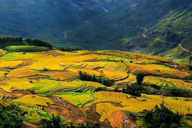 VIP LUXURY Sapa 2D1N -TRANSFER BY LUX LIMOUSINE CAR (Stay at 5* hotel) - Who this Sapa trip fits best (and who might not love it)