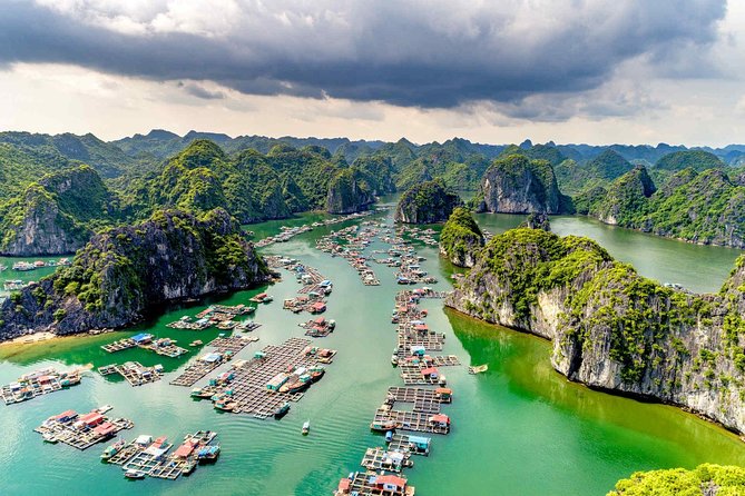 Wellness Detox Journey In Vietnam - Key highlights you’ll feel fast