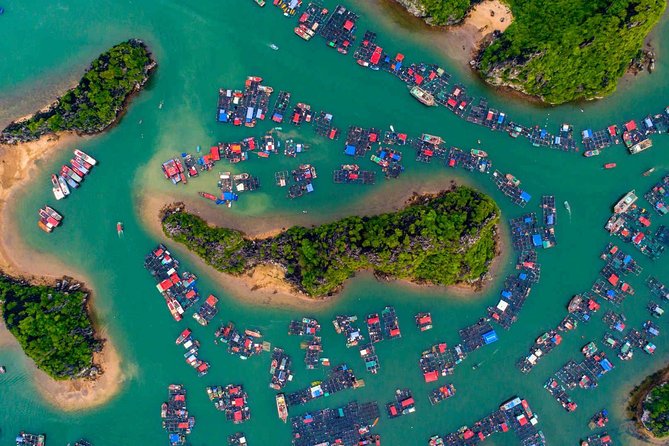 Wellness Detox Journey In Vietnam - Hanoi to “Reset Mode”: Why this route actually works