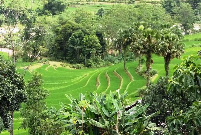 ZinDin Tours in Hagiang - Dong Van Karst Plateau Geopark: the peaks that feel unreal